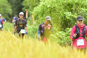 BIB: 
                            <button type="button" onclick="openModal(13435760)" class="btn btn-primary btn-sm float-right btn-popup" data-toggle="modal" data-target=".modal-high-quality">
                        <i class="fas fa-shopping-cart"></i> Add to Cart
                    </button>
                                            <button type="button" onclick="isThisMe(13435760, true)" class="btn btn-success btn-sm float-right btn-popup btn-isme hidden" data-toggle="tooltip" data-placement="bottom" title="นี่คือรูปของคุณใช่ไหม คลิกที่นี่เพื่อเอาเข้าอัลบั้ม">
                        <i class="fas fa-plus"></i> Add to album
                    </button>
                    <button type="button" onclick="isThisMe(13435760, false)" class="btn btn-warning btn-sm float-right btn-popup btn-isnotme hidden">
                        <i class="fas fa-ban"></i> Remove from album
                    </button>